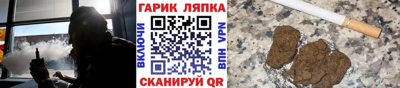 Купить закладки  Елизаветинская  ГАШ Ice-O-Lator 