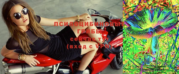Альфа ПВП Володарск