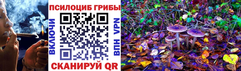 Галлюциногенные грибы прущие грибы  Купить  Елизаветинская 